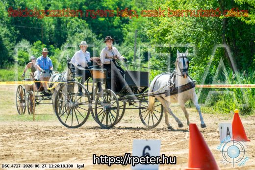 Mintakép 20260627-2604