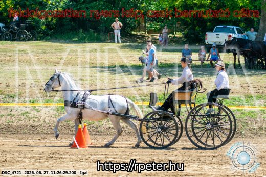 Mintakép 20260627-2608