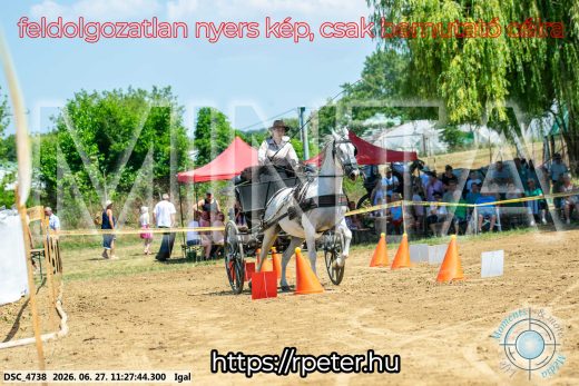 Mintakép 20260627-2622