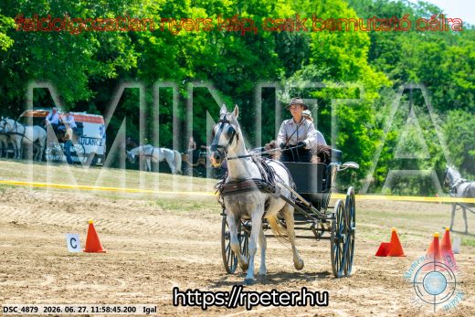 Mintakép 20260627-2625