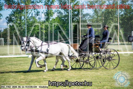 Mintakép 20260612-128