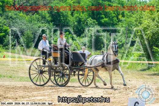 Mintakép 20260627-2632