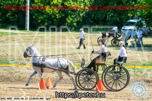 Mintakép 20260627-2635