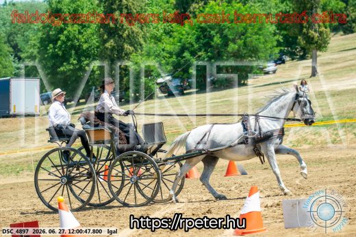 Mintakép 20260627-2637
