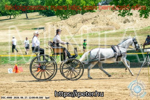 Mintakép 20260627-2638
