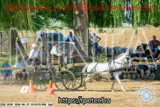 Mintakép 20260627-2648