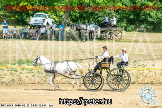 Mintakép 20260627-2655