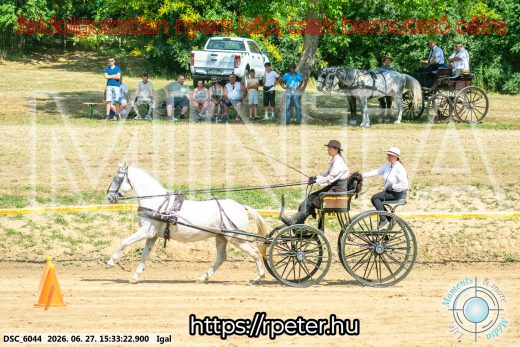 Mintakép 20260627-2656