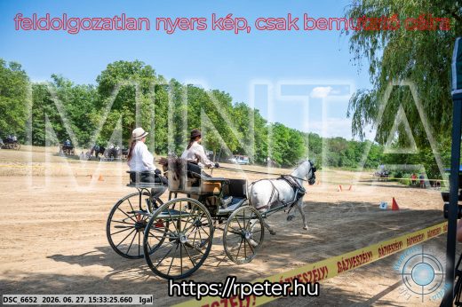 Mintakép 20260627-2662