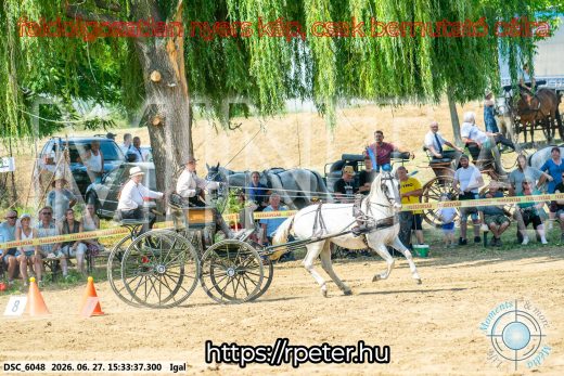 Mintakép 20260627-2664