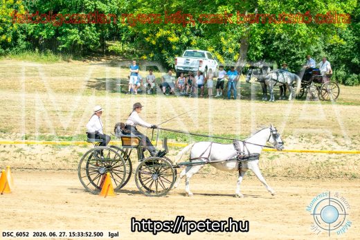 Mintakép 20260627-2667
