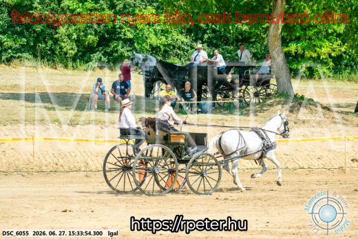 Mintakép 20260627-2670