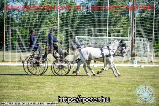 Mintakép 20260612-132