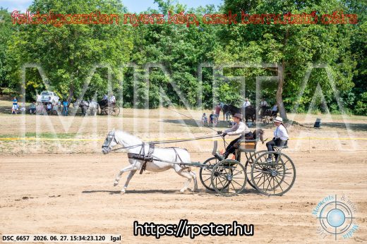 Mintakép 20260627-2674