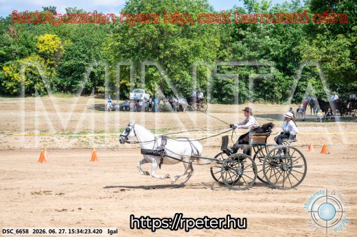 Mintakép 20260627-2675