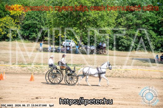 Mintakép 20260627-2676