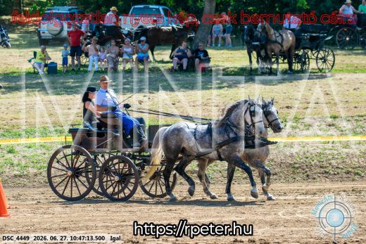 Mintakép 20260627-2680
