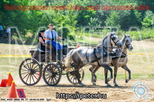 Mintakép 20260627-2683