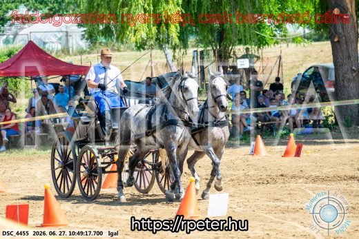 Mintakép 20260627-2685