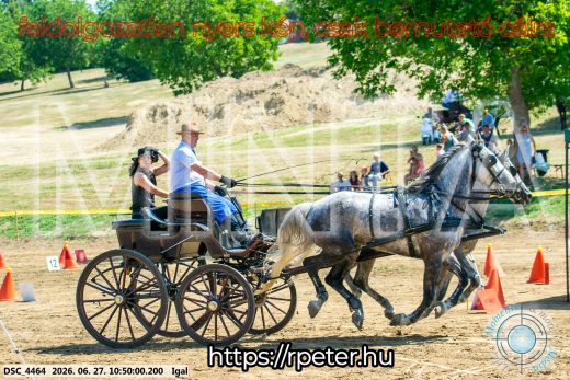 Mintakép 20260627-2690