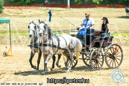 Mintakép 20260627-2691