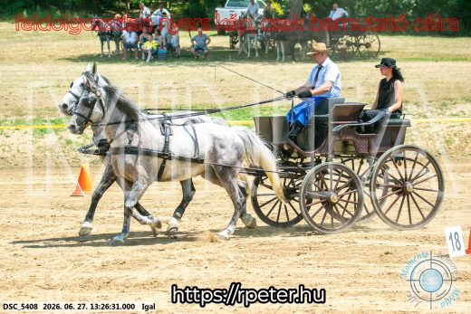 Mintakép 20260627-2692