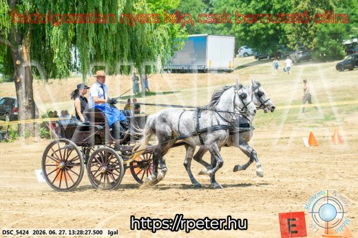 Mintakép 20260627-2697