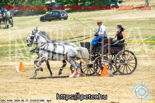 Mintakép 20260627-2699