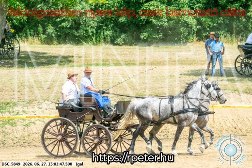 Mintakép 20260627-2704