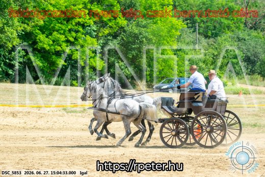Mintakép 20260627-2705