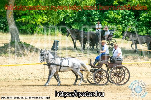 Mintakép 20260627-2706