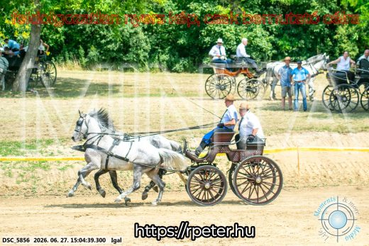 Mintakép 20260627-2708