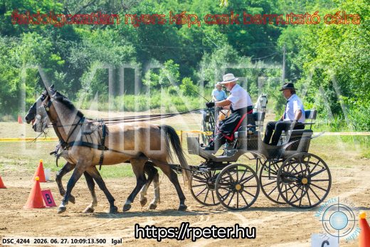 Mintakép 20260627-2718
