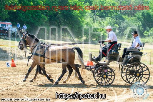 Mintakép 20260627-2719