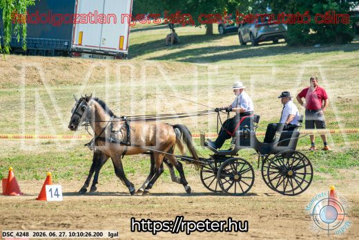 Mintakép 20260627-2720