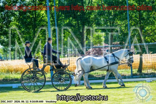 Mintakép 20260612-137