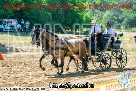 Mintakép 20260627-2722