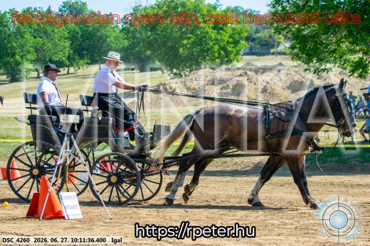 Mintakép 20260627-2725