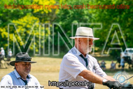 Mintakép 20260627-2729