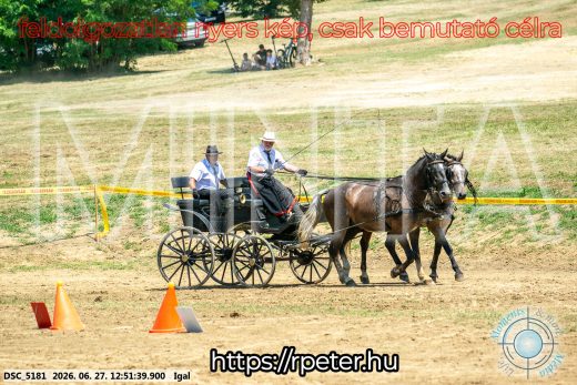 Mintakép 20260627-2733