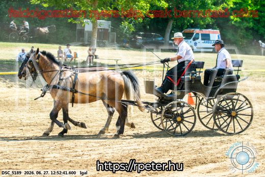 Mintakép 20260627-2736