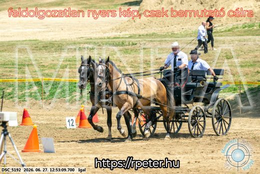 Mintakép 20260627-2737
