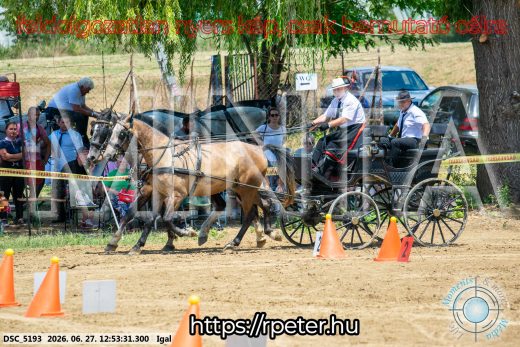 Mintakép 20260627-2738