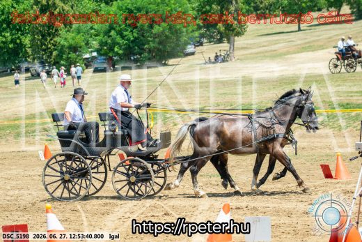 Mintakép 20260627-2740