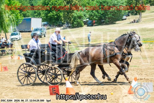 Mintakép 20260627-2744