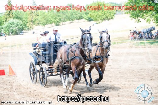 Mintakép 20260627-2746