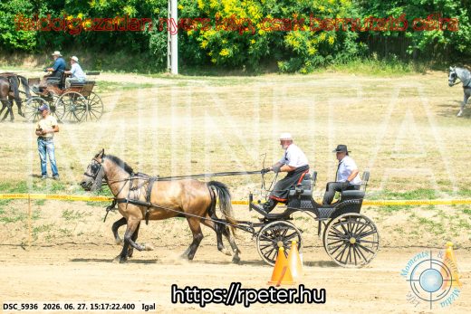 Mintakép 20260627-2751