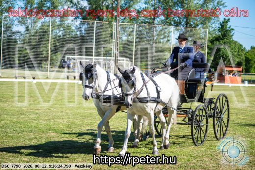 Mintakép 20260612-141