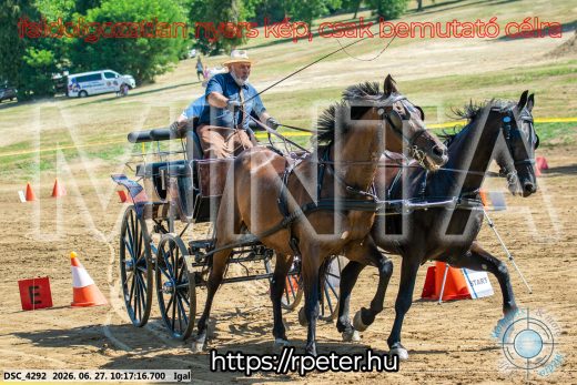 Mintakép 20260627-2762