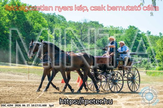 Mintakép 20260627-2763